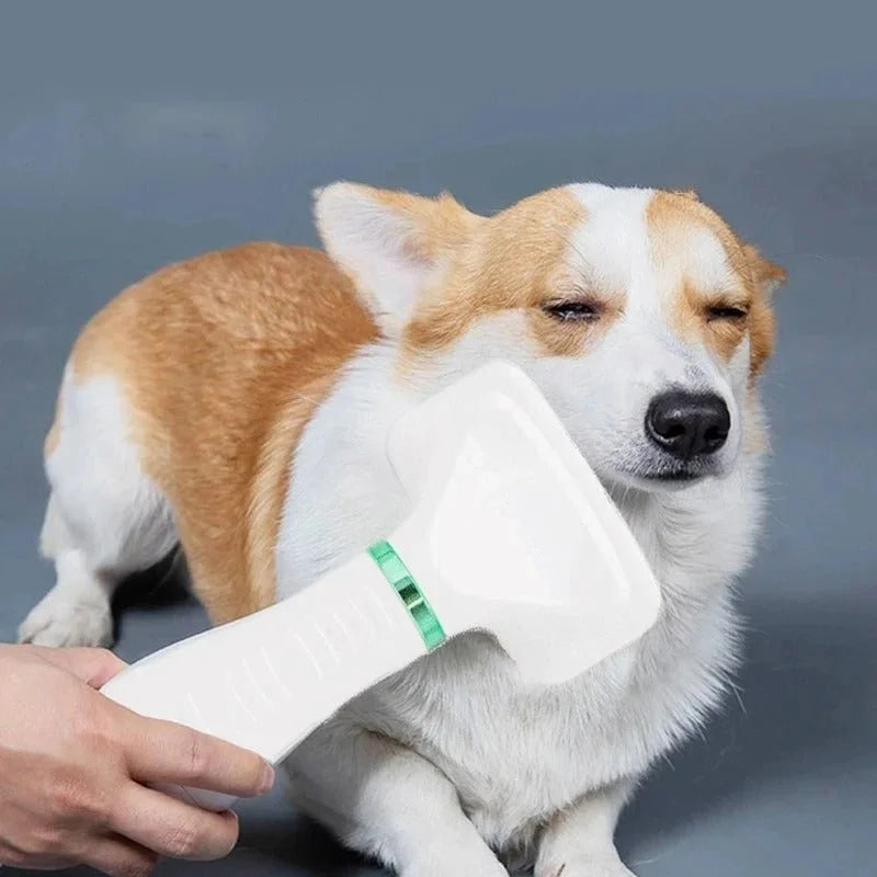 Portable Pet Hair Dryer